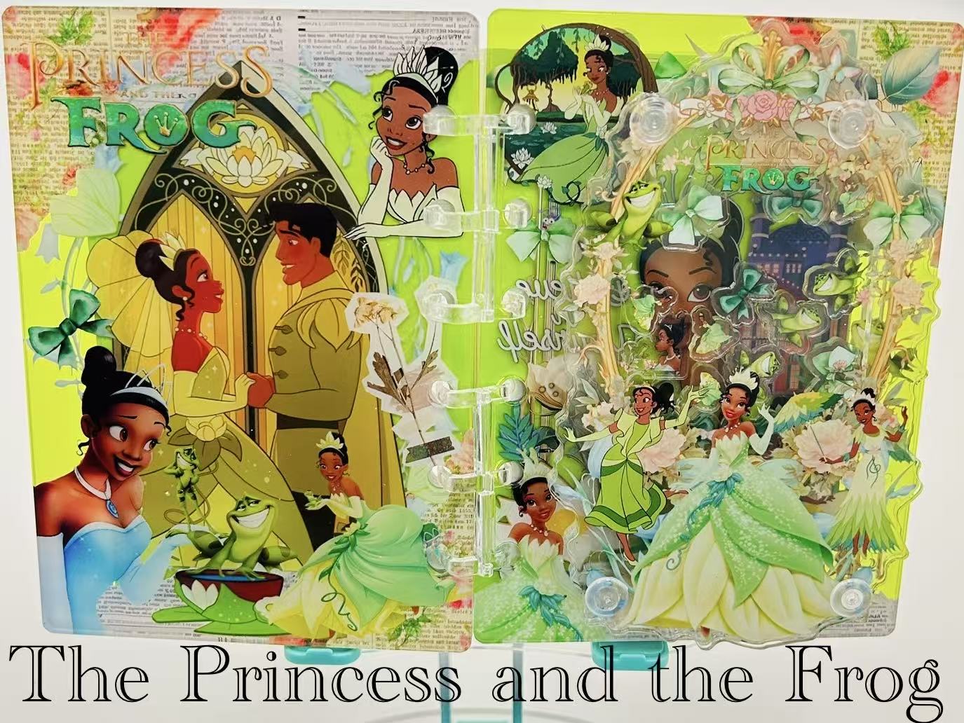 Disney shaker notebooks(don't order here/claim from live)