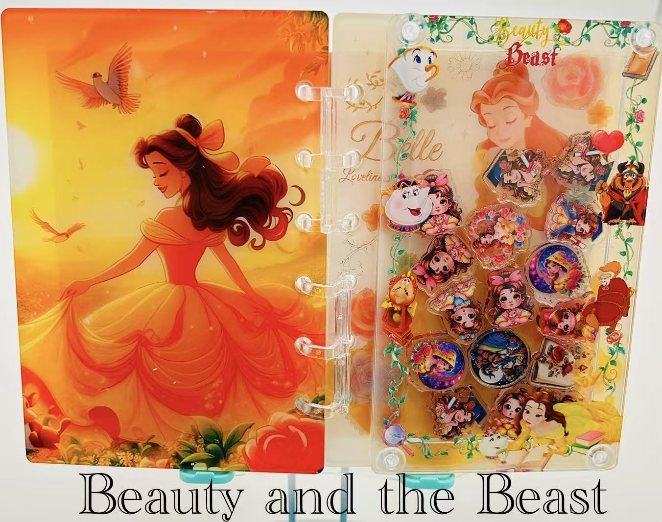 Disney shaker notebooks(don't order here/claim from live)